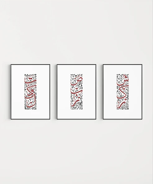 Modern Kırmızı Hat Sanatı 3’lü Duvar Poster Seti ürün görseli 1