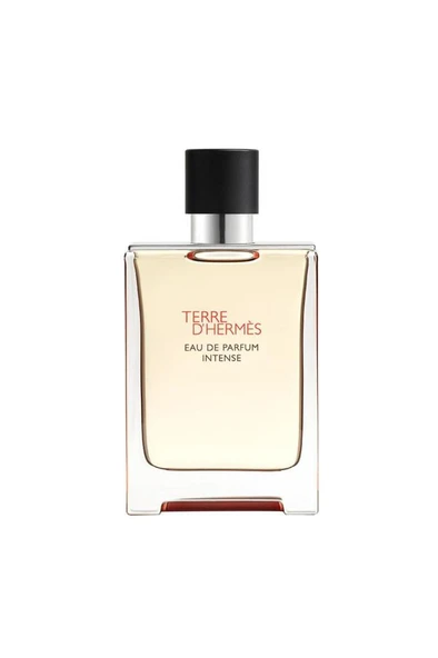 Hermes Terre D Hermes Edp Intense 100 ml Erkek Parfüm ürün görseli 1