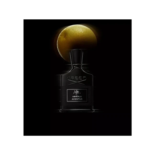 PTTAVM: Creed Millesime Absolu Aventus EDP Erkek Parfüm 100 ml