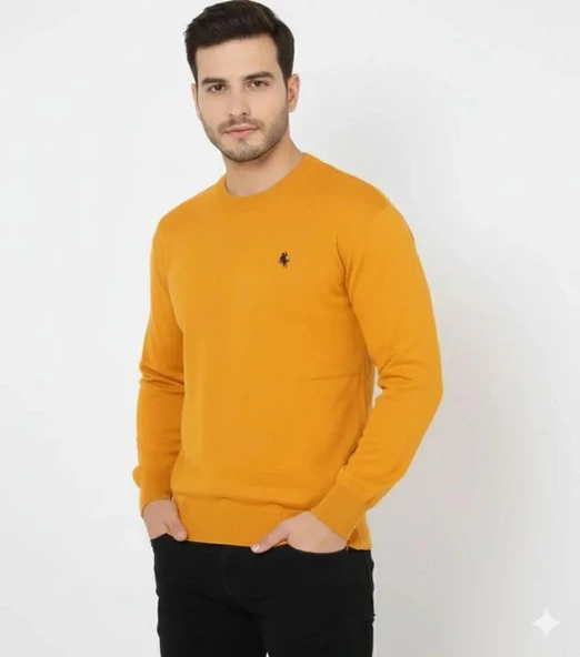 Erkek Bisiklet Yaka Nakış Işlemeli Triko Kazak Yumuşak Dokulu Pamuklu Ince Dokuma, Uzun Kollu Rahat Regular Kalıp - Turuncu ürün görseli 1