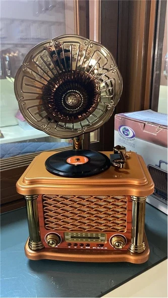 Everton Rt-586  Bluetooth Fm-Usb-Tf-Aux  Şarjlı Nostaljik Radyo ürün görseli 1