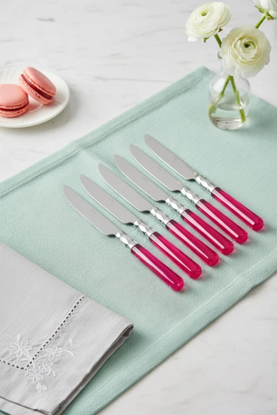 6 lı Paslanmaz Çelik Pembe Tatlı Bıçağı Seti ürün görseli 1