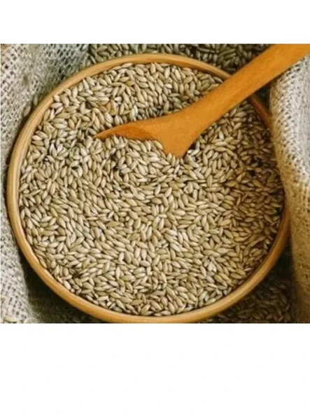 Polo Premium Sade Kanarya Yemi (1. Sınıf Aspur ) 1Kg AÇIK ürün görseli 1