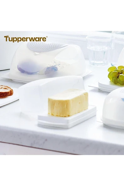 Tupperware Tereyağlık Kar Beyazı Pratik ve Şık Saklama Kabı ürün görseli 1