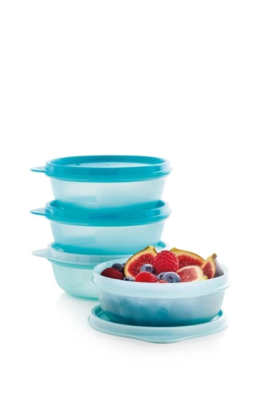 Tupperware Saklama ve Servis Kabı 4'lü Set 300 ml - Resim 3