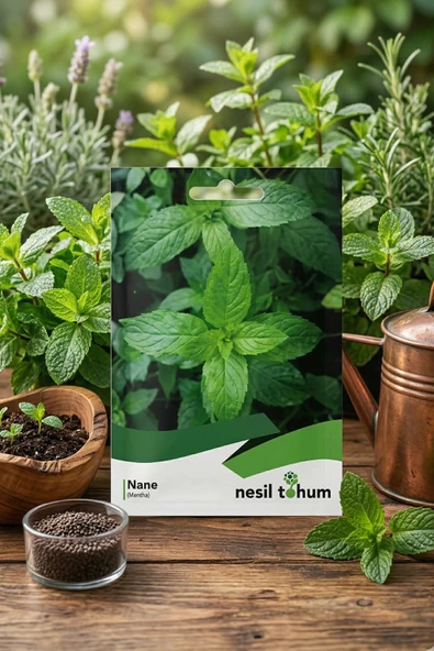 Nesil Tohum Nane (Mentha) Tohumu 10 gr ürün görseli 1
