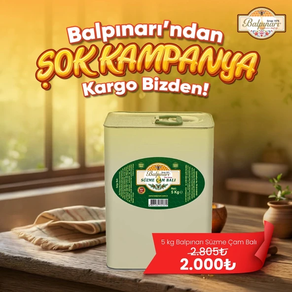 Balpınarı Süzme Çam Balı (Plastik Kova/Teneke) 5 kg ürün görseli 1