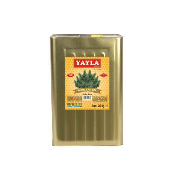 Yayla Süzme Çam Salgı Balı 25 Kg (Teneke) ürün görseli 1