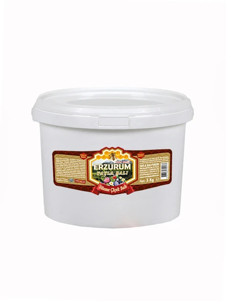 Erzurum Yayla Süzme Çiçek Balı 5 Kg (Kova/Teneke) ürün görseli 1
