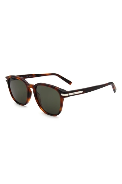 Salvatore Ferragamo SF 993S C214 UNISEX GÜNEŞ GÖZL ürün görseli 1