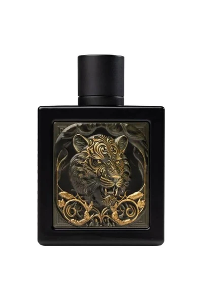 Rayhaan Tiger EDP 100 ml Erkek Parfüm - Resim 2