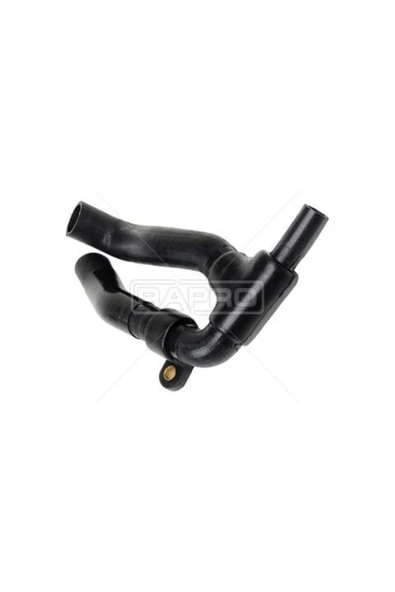 RAPRO Radyatör Hortumu Alt R19 Dızel 1.9d F8q 7700794159 Uyumlu ürün görseli 1