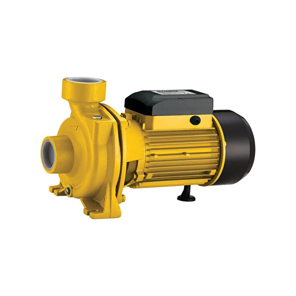 RTM880 SU POMPASI  1100W/1,5 HP  2x2"  16 Mt   RTRMAX ürün görseli 1