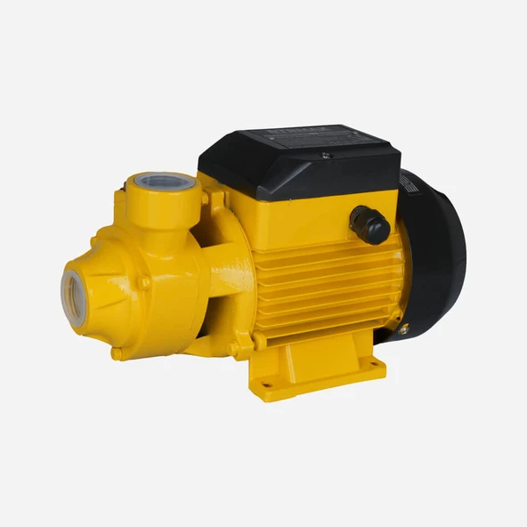 Rtrmax Rtm8740 Su Pompasi 750 Watt 3.0 Ton /saat Kapasi̇teli̇ ürün görseli 1