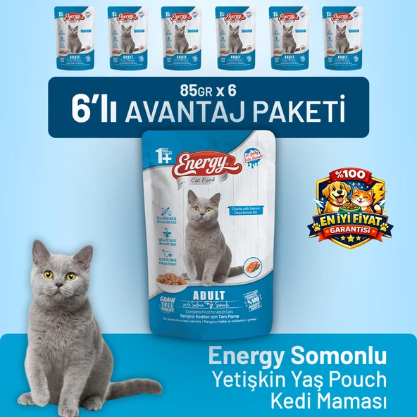 Somonlu Yetişkin Yaş Kedi Maması 85 g - 6 Adet ürün görseli 1