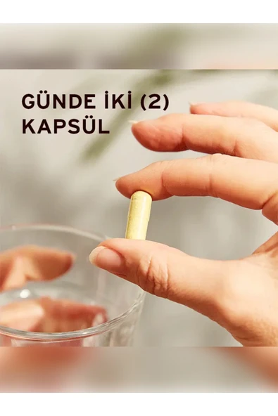 Solgar Quercetin Complex (Kuersetin Kompleks) 50 Kapsül - Resim 6