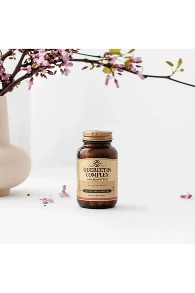 Solgar Quercetin Complex with Ester-C Plus 50 Tablet - Resim 2