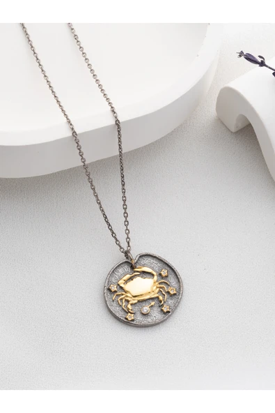 Two Arts Jewelry Kadın 925 Ayar Gümüş Yengeç Burcu Kolye | Kişiye Özel Tasarım | Hediye Kutusunda Gümüş 45 cm ürün görseli 1