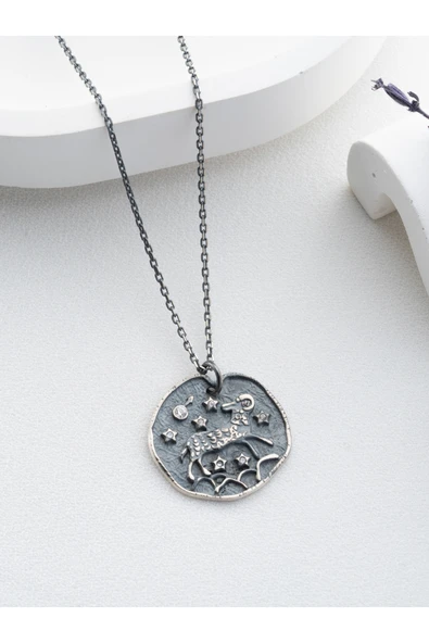 Two Arts Jewelry Kadın 925 Ayar Gümüş Koç Burcu Kolye | Kişiye Özel Tasarım | Hediye Kutusunda Gri 45 cm ürün görseli 1