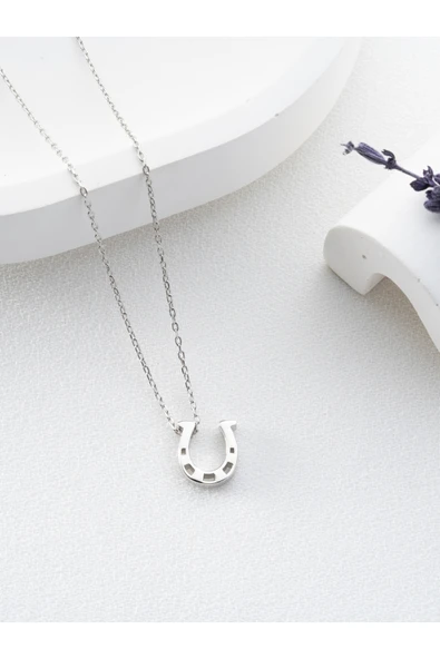 Two Arts Jewelry Kadın 925 Ayar Gümüş At Nalı Kolye | Şans Kolyesi | Hediye Kutusunda Gümüş 45 cm ürün görseli 1