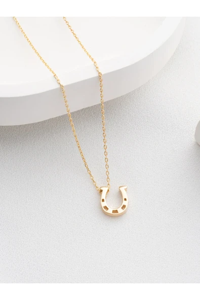 Two Arts Jewelry Kadın 925 Ayar Gümüş At Nalı Kolye | Şans Kolyesi | Hediye Kutusunda Altın 45 cm ürün görseli 1