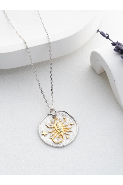 Two Arts Jewelry Kadın 925 Ayar Gümüş Akrep Burcu Kolye | Kişiye Özel Tasarım | Hediye Kutusunda Altın 45 cm ürün görseli 1