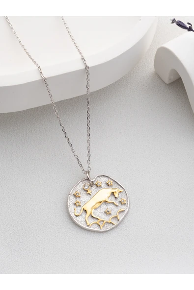 Two Arts Jewelry Kadın 925 Ayar Gümüş Boğa Burcu Kolye | Kişiye Özel Tasarım | Hediye Kutusunda Altın 45 cm ürün görseli 1