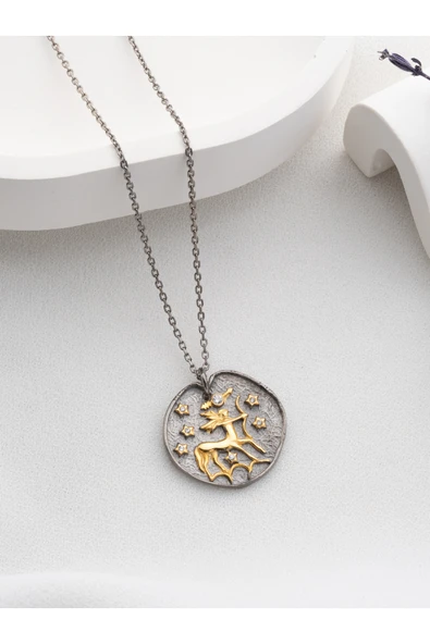 Two Arts Jewelry Kadın 925 Ayar Gümüş Yay Burcu Kolye | Kişiye Özel Tasarım | Hediye Kutusunda Gümüş 45 cm ürün görseli 1