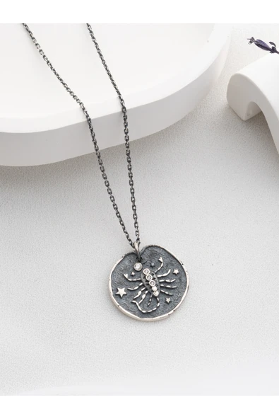Two Arts Jewelry Kadın 925 Ayar Gümüş Akrep Burcu Kolye | Kişiye Özel Tasarım | Hediye Kutusunda Gri 45 cm ürün görseli 1