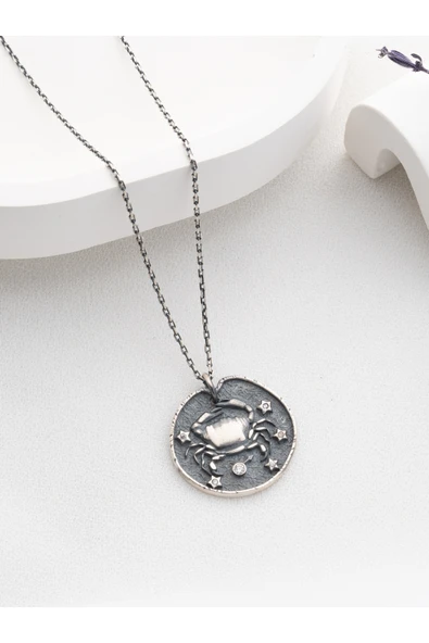 Two Arts Jewelry Kadın 925 Ayar Gümüş Yengeç Burcu Kolye | Kişiye Özel Tasarım | Hediye Kutusunda Gri 45 cm ürün görseli 1