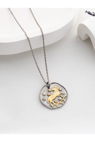 Two Arts Jewelry Kadın 925 Ayar Gümüş Koç Burcu Kolye | Kişiye Özel Tasarım | Hediye Kutusunda Gümüş 45 cm ürün görseli 1