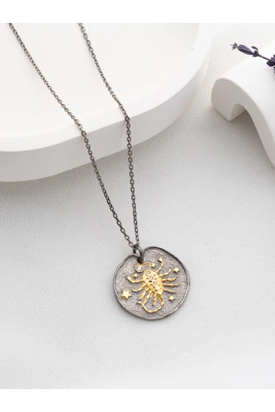Two Arts Jewelry Kadın 925 Ayar Gümüş Akrep Burcu Kolye | Kişiye Özel Tasarım | Hediye Kutusunda Gümüş 45 cm ürün görseli 1