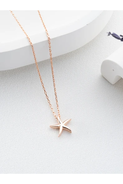 Two Arts Jewelry Kadın 925 Ayar Gümüş Deniz Yıldızı Kolyesi | Hediye Kutusunda Pembe 45 cm ürün görseli 1