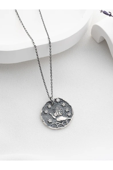 Two Arts Jewelry Kadın 925 Ayar Gümüş Aslan Burcu Kolye | Kişiye Özel Tasarım | Hediye Kutusunda Gri 45 cm ürün görseli 1
