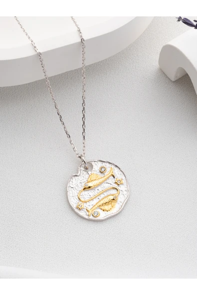 Two Arts Jewelry Kadın 925 Ayar Gümüş Balık Burcu Kolye | Kişiye Özel Tasarım | Hediye Kutusunda Altın 45 cm ürün görseli 1