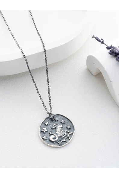 Two Arts Jewelry Kadın 925 Ayar Gümüş Oğlak Burcu Kolye | Kişiye Özel Tasarım | Hediye Kutusunda Gri 45 cm ürün görseli 1