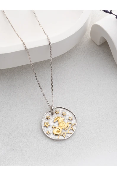 Two Arts Jewelry Kadın 925 Ayar Gümüş Oğlak Burcu Kolye | Kişiye Özel Tasarım | Hediye Kutusunda Altın 45 cm ürün görseli 1