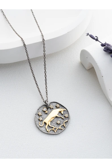 Two Arts Jewelry Kadın 925 Ayar Gümüş Boğa Burcu Kolye | Kişiye Özel Tasarım | Hediye Kutusunda Gümüş 45 cm ürün görseli 1