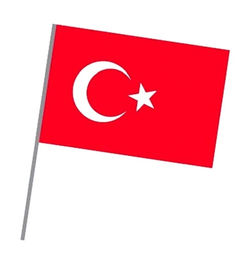 Vatan Sopalı Bez Bayrak Alpaka 20X30cm Türk Bayrağı - 6 adet ürün görseli 1