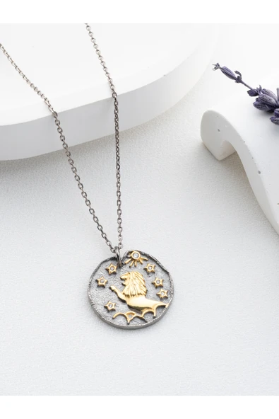 Two Arts Jewelry Kadın 925 Ayar Gümüş Aslan Burcu Kolye | Kişiye Özel Tasarım | Hediye Kutusunda Gümüş 45 cm ürün görseli 1