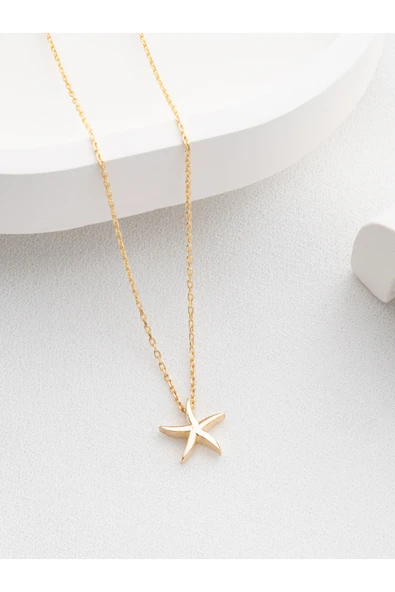 Two Arts Jewelry Kadın 925 Ayar Gümüş Deniz Yıldızı Kolyesi | Hediye Kutusunda Altın 45 cm ürün görseli 1