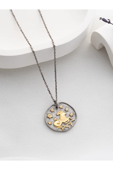 Two Arts Jewelry Kadın 925 Ayar Gümüş Oğlak Burcu Kolye | Kişiye Özel Tasarım | Hediye Kutusunda Gümüş 45 cm ürün görseli 1