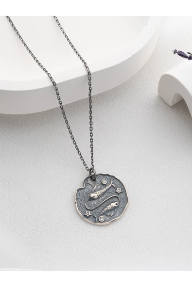 Two Arts Jewelry Kadın 925 Ayar Gümüş Balık Burcu Kolye | Kişiye Özel Tasarım | Hediye Kutusunda Gri 45 cm ürün görseli 1