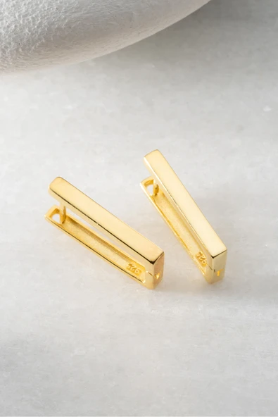 Two Arts Kadın 925 Ayar Gümüş Dikdörtgen Minimalist Küpe | 14K Altın Kaplama | Hediye Kutusunda Altın Tek Ebat ürün görseli 1