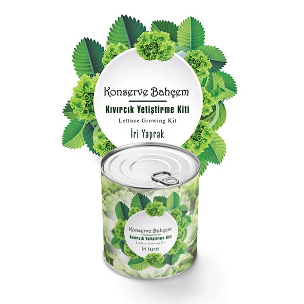 Norino Norino® Konserve Bahçem Evde Konservede İri Yapraklı Kıvırcık Yetiştirme Kiti ürün görseli 1