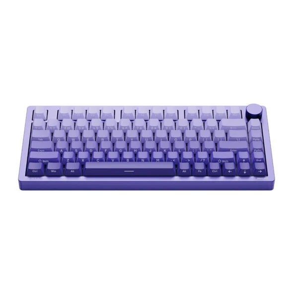 Philips Evnia SPK8618UPRH HotSwap Makrolu 3 Modlu Metal Gaming Oyuncu Klavyesi Mor ürün görseli 1