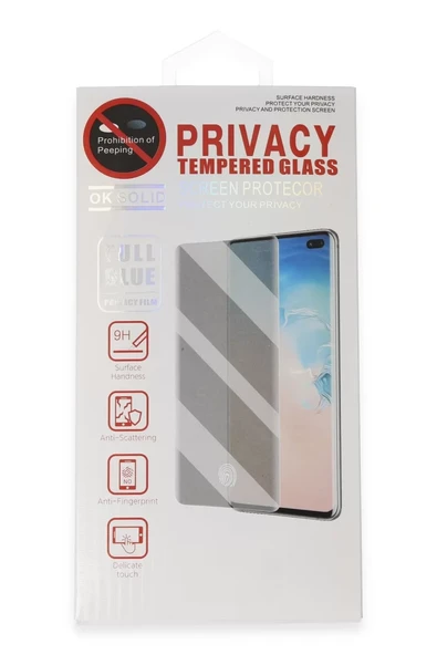 Newface Samsung Galaxy S21 Plus Hayalet Edge Cam Ekran Koruyucu ürün görseli 1