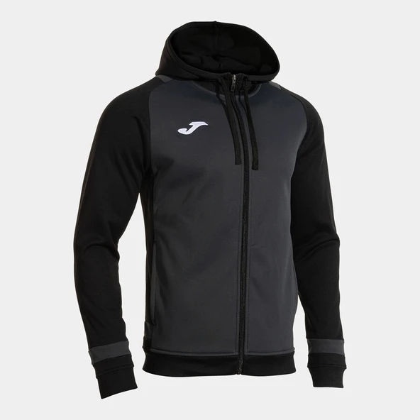 Joma Phoenix III Zip-Up Sweatshirt Erkek Siyah 104300.151 ürün görseli 1