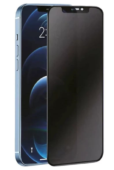 Newface Apple iPhone 14 Pro 3D Antistatik Hayalet Cam Ekran Koruyucu ürün görseli 1