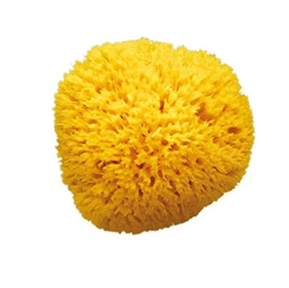 OkBaby Doğal Banyo Süngeri / Küçük ürün görseli 1